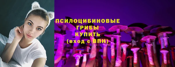 амф Балахна